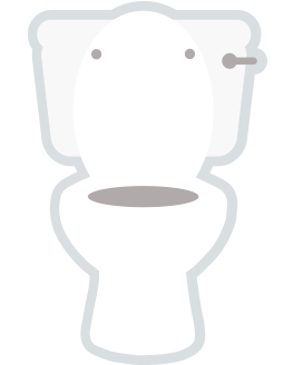 Toilet repairs in Essex & Suffolk